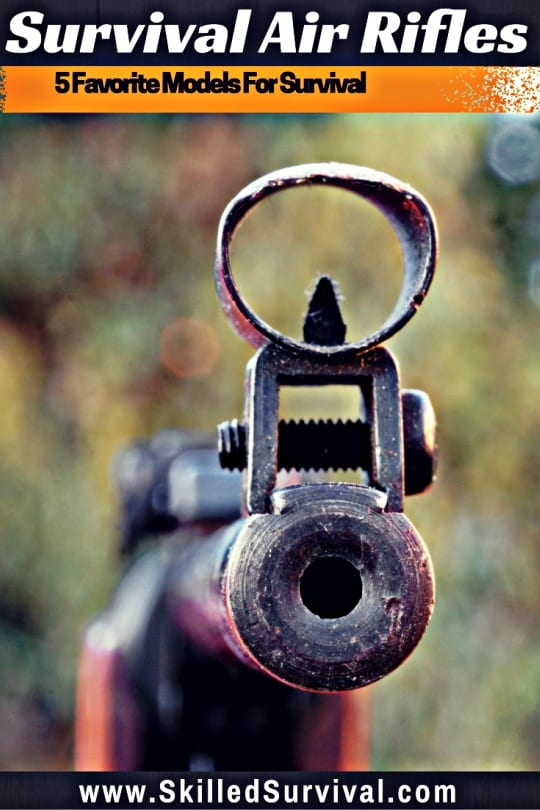 Survival Air Rifle Our 5 Favorite Models For Survival
