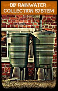 RainWater Collection System DIY
