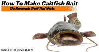 Catfish Bait