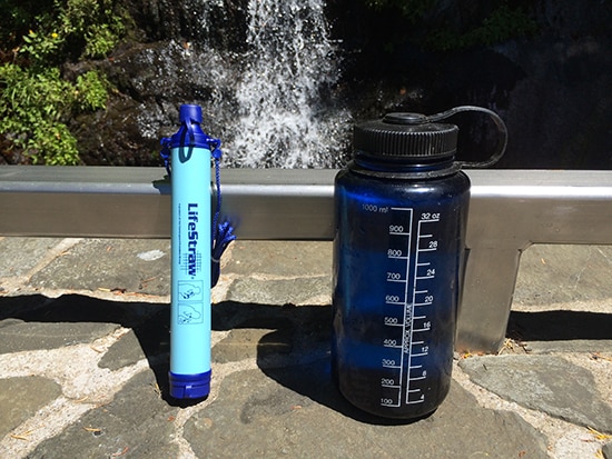 LifeStraw Size Comparison