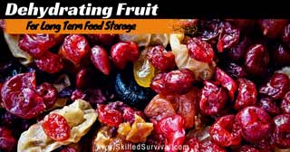Dehydrating Fruit