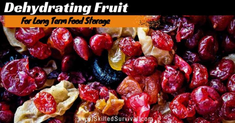 Dehydrating Fruit: How To Preserve Those Delicious Calories