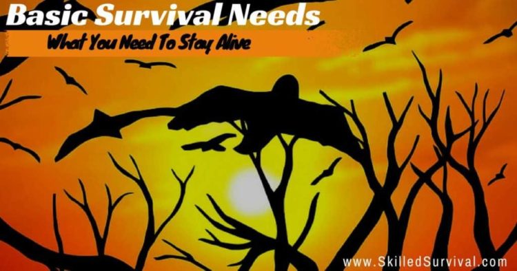 Basic Survival Needs: The 5 Most Important Things To Live