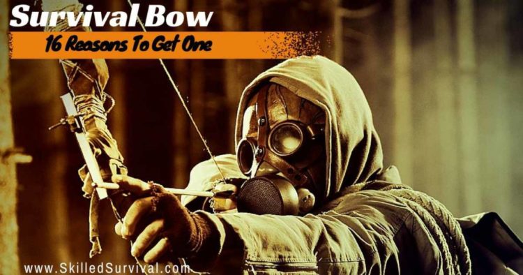 Best Survival Bow: 16 Surprising Reasons YOU Should Get One
