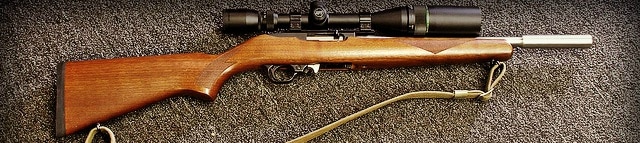 Ruger 10 22