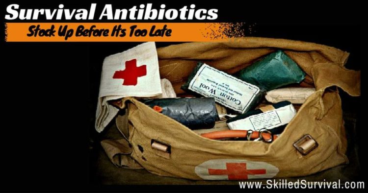 Survival Antibiotics: How To Prepare NOW (before SHTF)