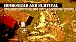 Homestead Survival Home
