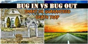 Bug In vs Bug Out