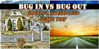 Bug In vs Bug Out