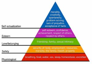 Maslow's Hiearchy Of Needs
