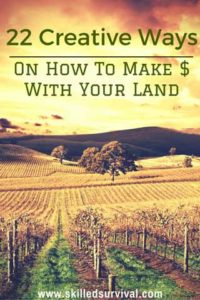 How To Make Money With Land