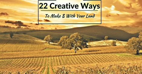 22 Creative Ways On How To Make Money With Land