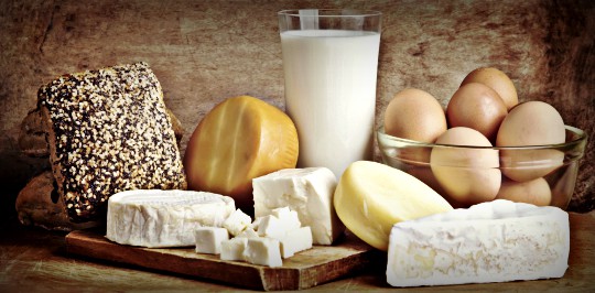 Livestock ByProducts: Milk, Cheese, Eggs