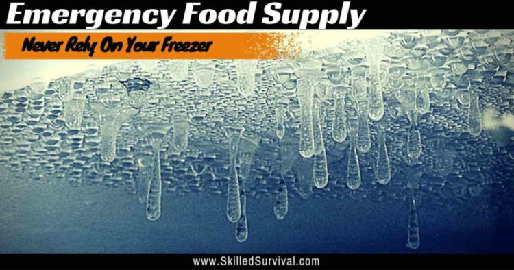 Emergency Food Storage When Calories Become Scarce