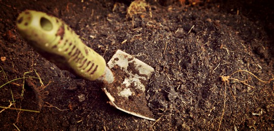cat hole shovel in dirt