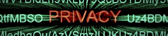 word privacy surrounded by computer code