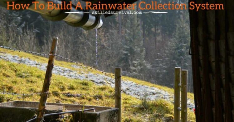 How To Make A Rainwater Collection System From Scratch