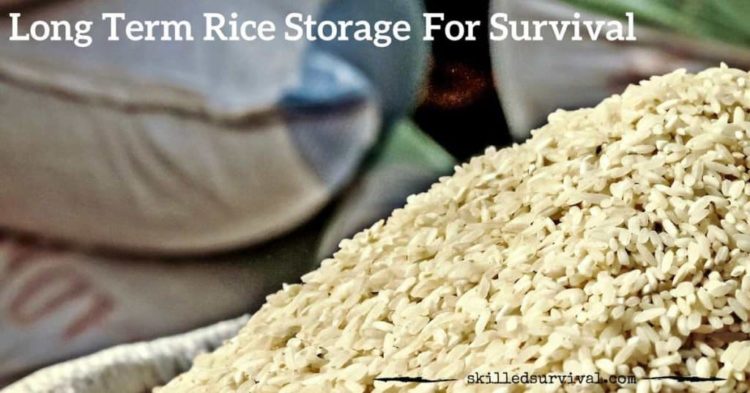 How To Store Rice The Right Way & Avoid Costly Mistakes