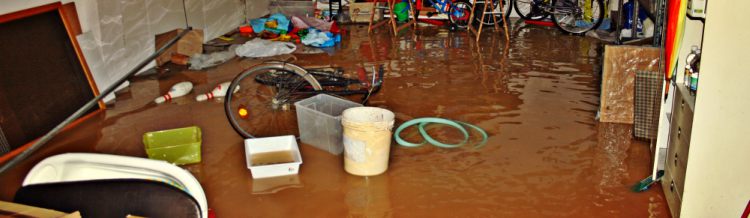 flooded garage