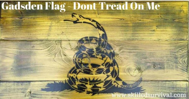 Don’t Tread On Me: Fascinating History Of The Gadsden Flag