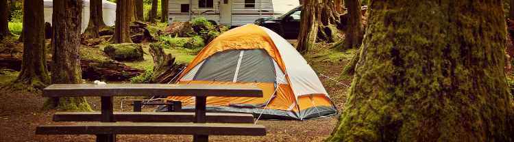 campsite with a dome tent