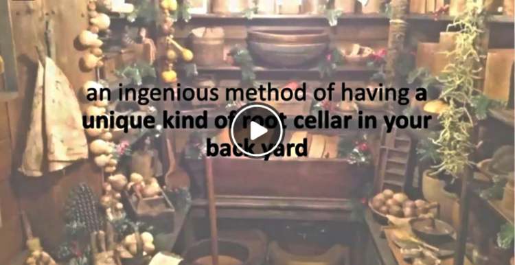 Easy Cellar Video Image