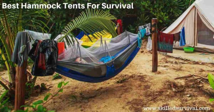 Best Hammock Tents For Minimalist Camping & Survival