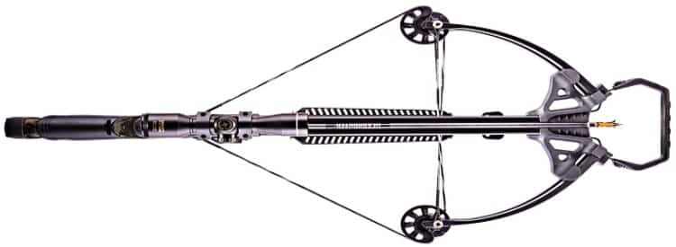 Compound Bow Top View
