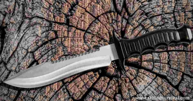 Best Bowie Knives For Extreme Combat And Survival