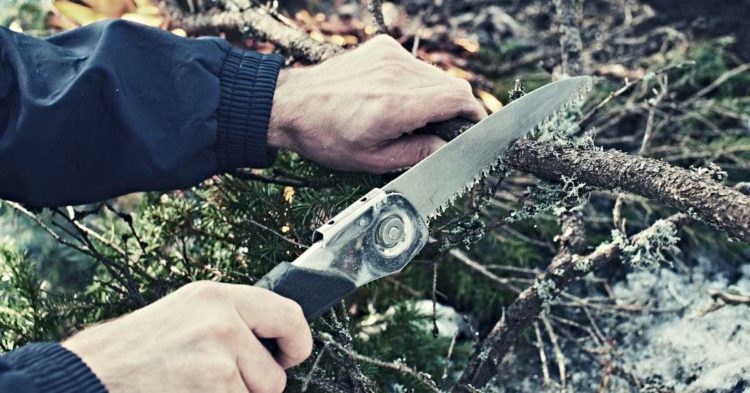 Best Folding Saws To Easily Pruning Or Clear Massive Brush