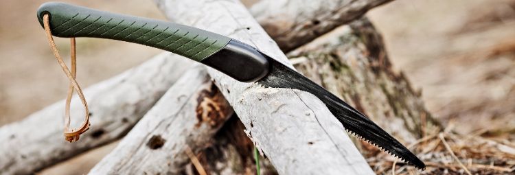 Folding saw stuck in tree in forest