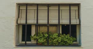 Window Security Bars With Plant On Window Sill