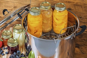 Best Water Bath Canner
