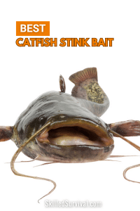 Best Catfish Stink Bait