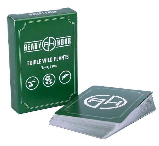 Edible Wild Foods Plants Cards for North America